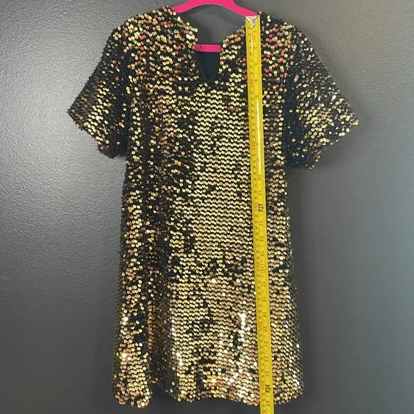 Zara Gold and Black Sparkle Sequin Dress